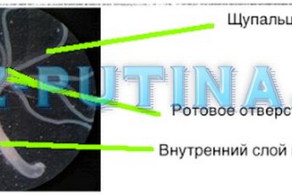 Кракен маркет что это