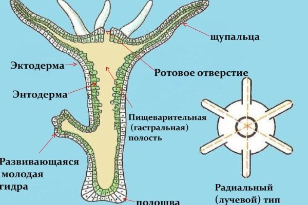 Ссылка на кракен маркет