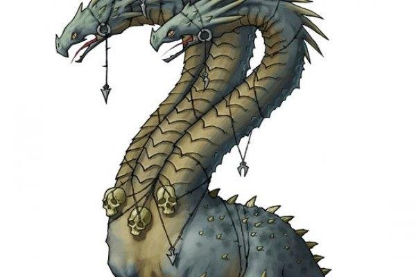 Kraken 12 at