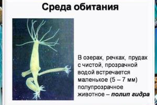 Кракен 15at