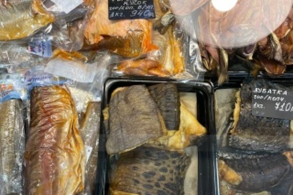 Kraken darknet зеркала кракен обход